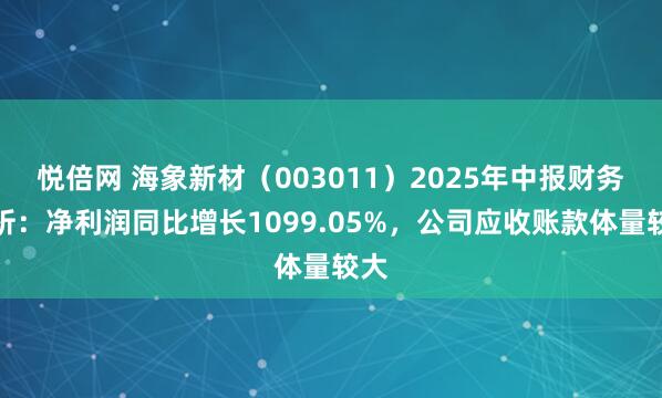 悦倍网 海象新材（003011）2025年中报财务简析：净利润同比增长1099.05%，公司应收账款体量较大