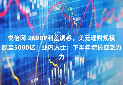 悦倍网 260BP利差诱惑，美元理财规模飙至5000亿！业内人士：下半年增长或乏力